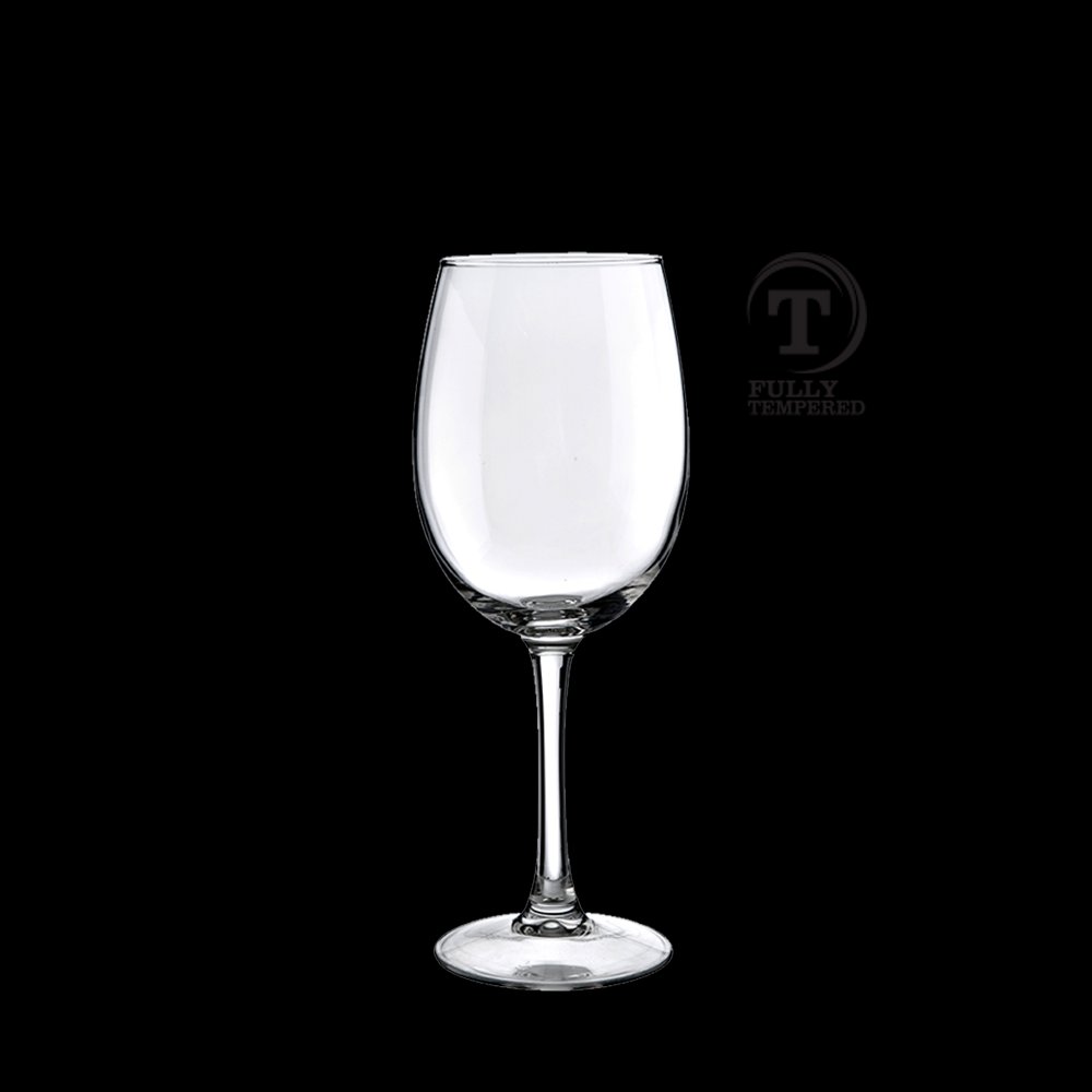 FT Syrah Wine Glass 20.4oz 58cl Carton of 6